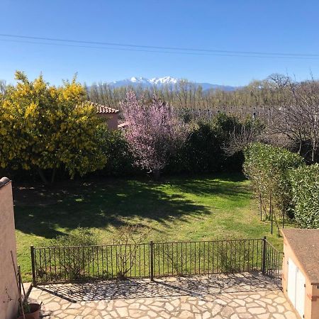 Au Mimosa -Gite Le Canigou Passa Dış mekan fotoğraf
