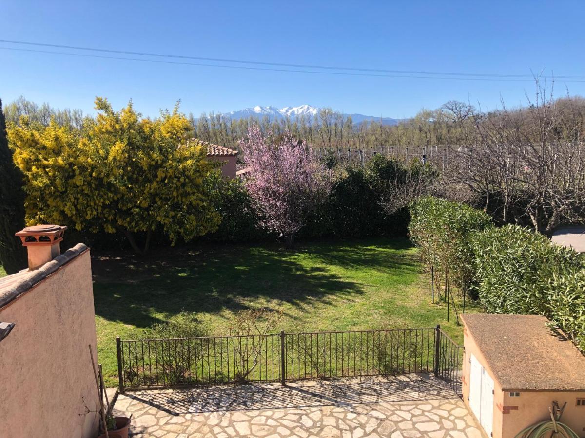 Au Mimosa -Gite Le Canigou Passa Dış mekan fotoğraf