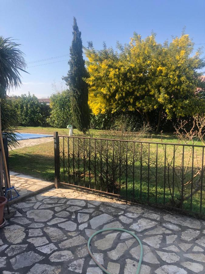 Au Mimosa -Gite Le Canigou Passa Dış mekan fotoğraf
